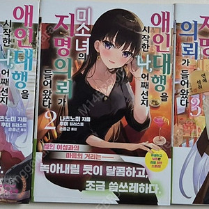 (라노벨) 애인 대행을 시작한 나 어째선지 미소녀의 지명의뢰가 들어왔다 1~3권 판매합니다