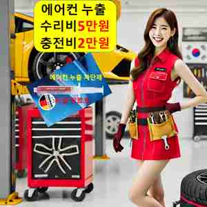 자동차 에어컨 냉매 충전 안시원 가스 냄새 필터 소리 수리 공임 비용 가격 금액 청소 누수 누출 누유 교체 교환 확인 보충 나라 물 흐르는 소리 고장 전문점 차 차량 삼성 집주인