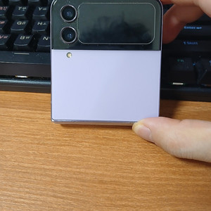 Z flip4