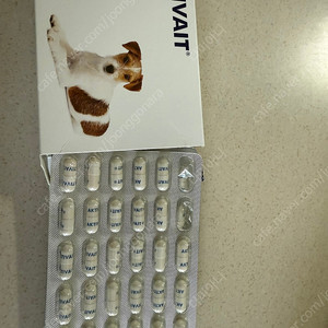 액티베이트