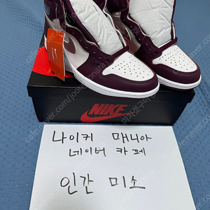 조던 하이 보르도 260 사이즈