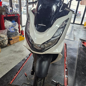 PCX 21년식 화이트 판매합니다