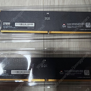 에센코어 KLEVV DDR5 5600MHz 32g(택포)
