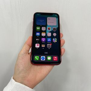 71405 아이폰11 레드 128GB 부산 중고폰 팝니다 18만원