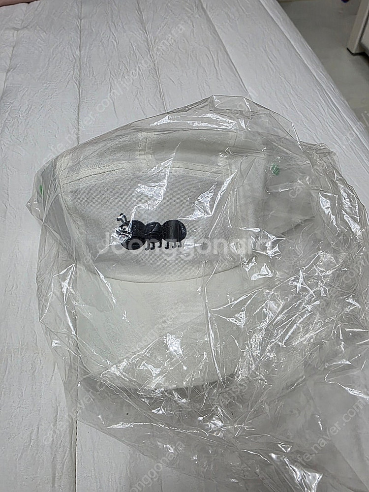 에그녹 개미캡--0