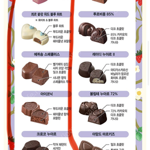 고디바 초콜릿 얼리 스프링 인 벨지움 어쏘트먼트 6개입