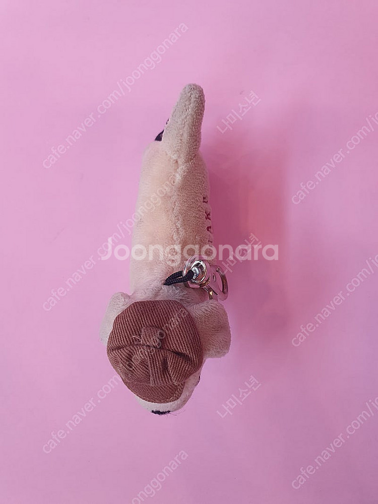 닥스키링인형--1