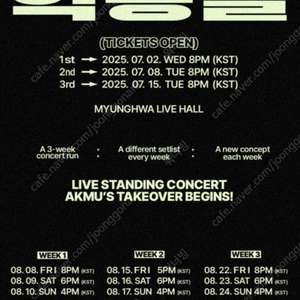2025 AKMU STANDING CONCERT ［악동들］악동뮤지션 콘서트 8/9(토) 스탠딩 앞쪽번호 2연번 양도합니다.