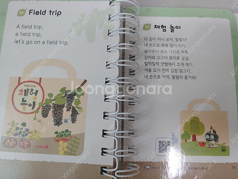 핀덴베베 자연놀이 35권외 (최상급 상태/택포)--2