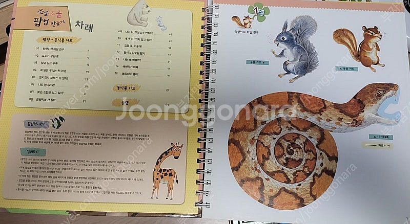 조물조물 자연놀이 32권 완벽구성--3