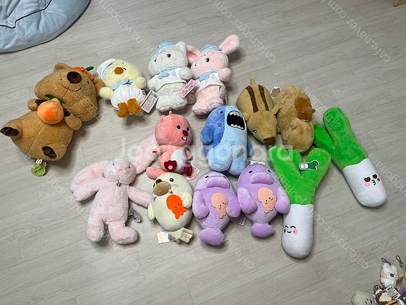 짱구, 짐승친구들, 보노보노, 카드캡터체리, 곰돌이푸, 미피 등 각종 인형, 키림 팔아요. 엄청 많아요!--3