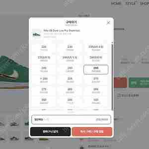 나이키 덩크 로우 프로 샴록 (BQ6817-303) 255