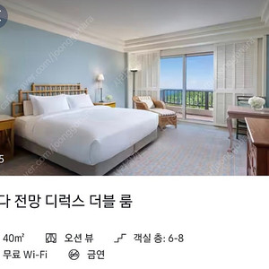 제주 신라호텔 바다 전망 디럭스 더블룸/오션뷰/7월12,13일 2박 양도/55만원/마지막