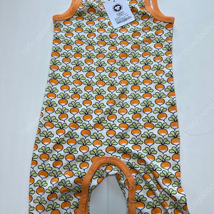 던스 주황순무 104