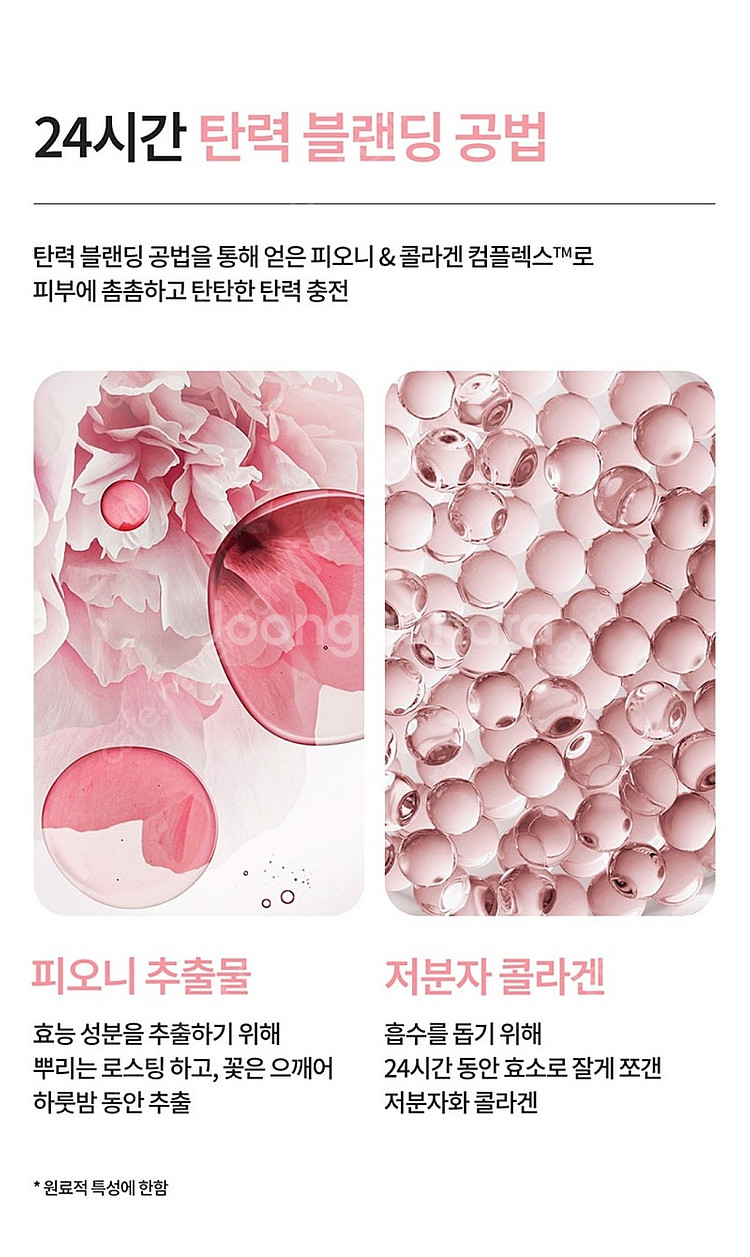 마몽드 플로라 글로우 로즈 리퀴드 마스크, 라네즈 바운...--7
