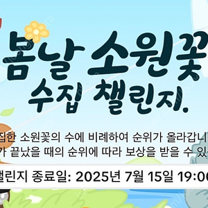 틱톡 소원꽃 미접 2명 팝니다