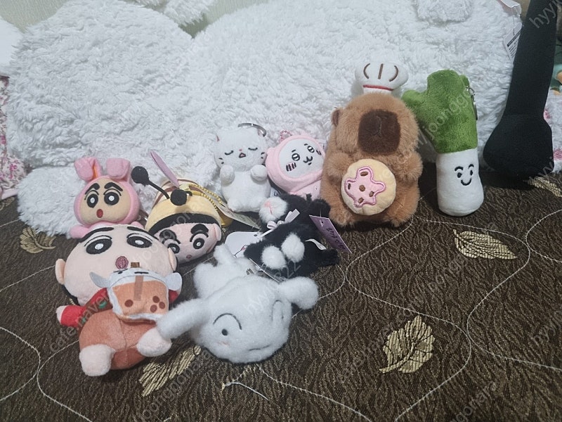 인형 일괄판매합니다--1