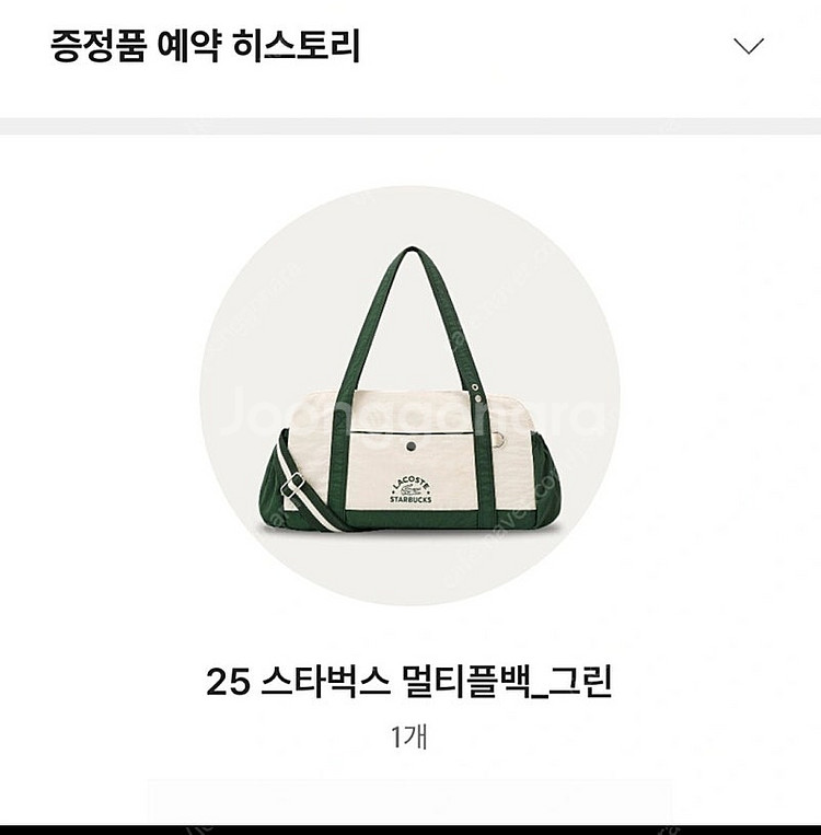 스타벅스 멀티플백 그린--0