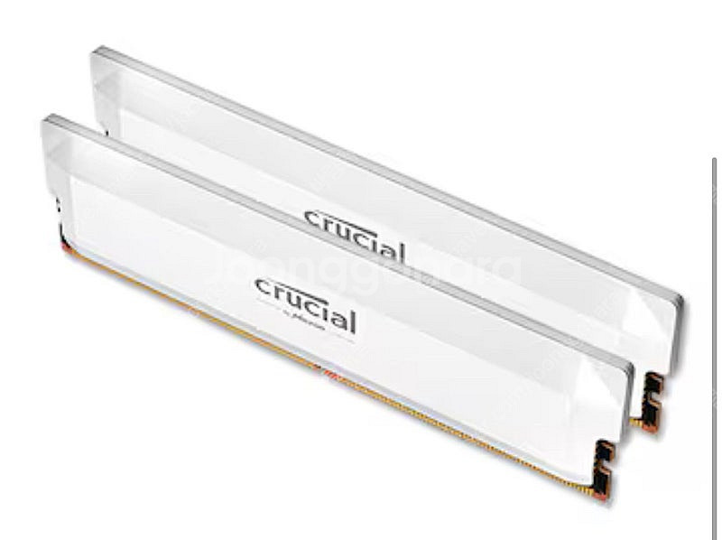 마이크론램 메모리 32기가 DDR5-6400 CL38 ...--0