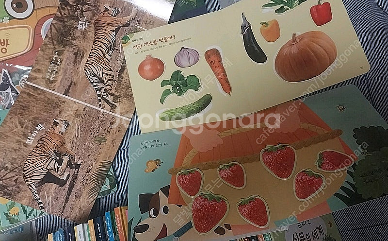 놀라운자연 팔아요--3