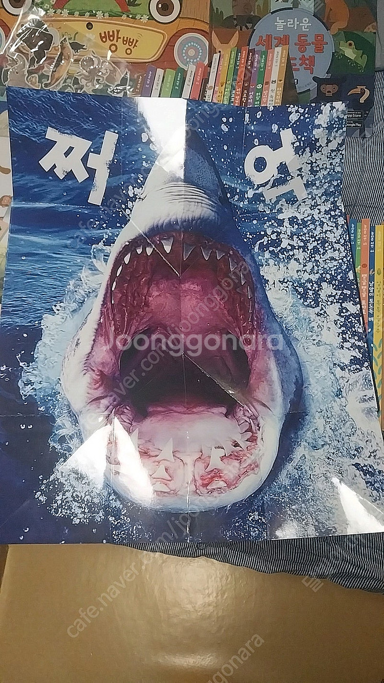 놀라운자연 팔아요--4