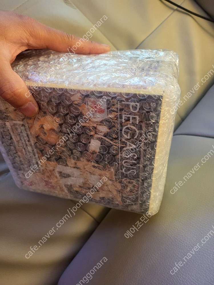 쿠루마다 40주년 기념EX 페가수스 세인트 세이야--6