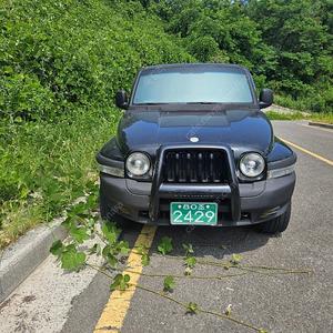 뉴코란도밴