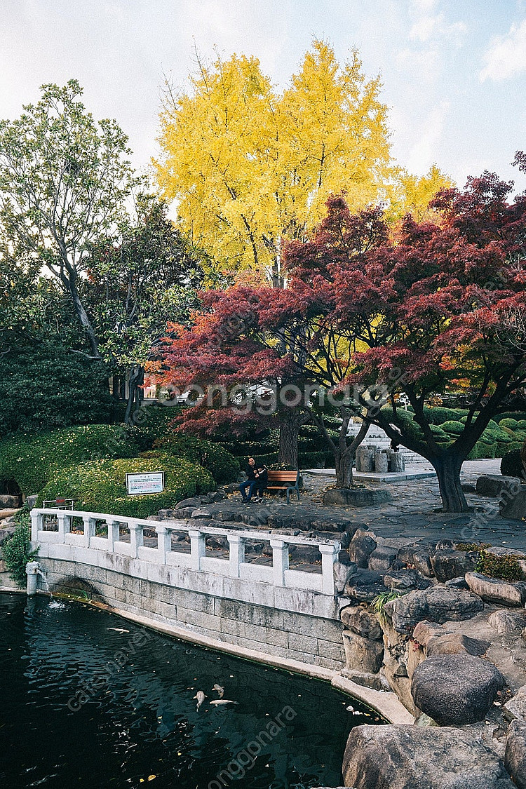 탐론 Tamron 어댑톨 Adaptall SP 24-4...--7