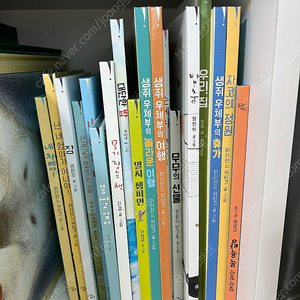 고래뱃속 창작 20권