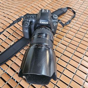 캐논 EOS 6D Mark II+24-70렌즈