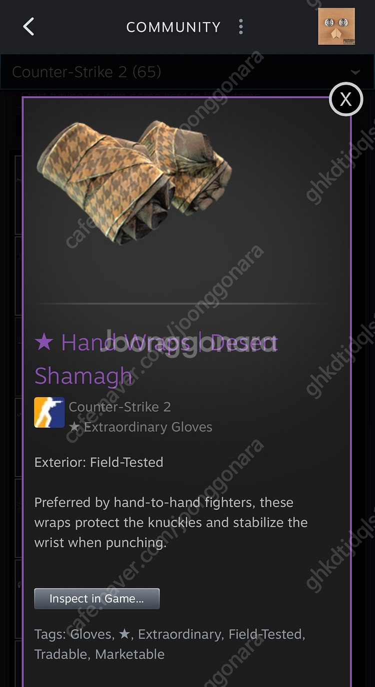 스팀 카스2 글옵 스킨 Hand Wraps / Dese...--0