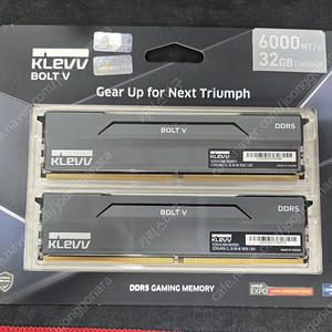 ESSENCORE KLEVV DDR5-6000 CL30 BOLT V 서린 32GB(16Gx2)(AMD) 11만원팜