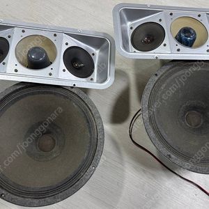 독일 Isophon 이소폰 G3037 알니코 스피커 1조 Echolette LE2