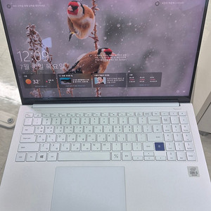 삼성노트북 갤럭시북 이온 NT951XCJ-K02 (NT950XCJ)