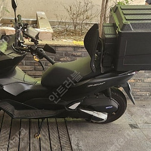 24년식 pcx125 판매합니다