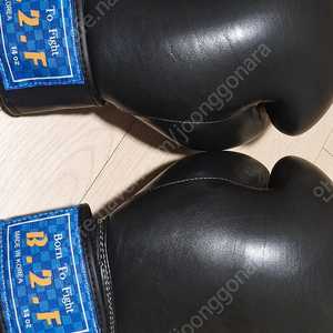 b2f 14oz 복싱 글러브