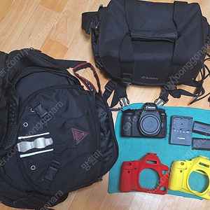 캐논 6D Mark II