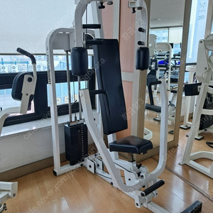 ᆢ마운트 체스트프래스 &버터플라이