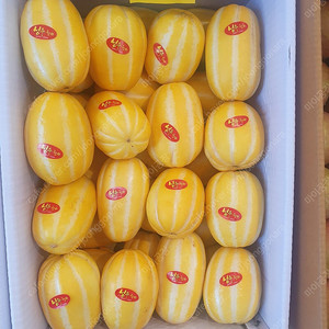 성주 참외 10kg 택포 2.5만원 판매합니다