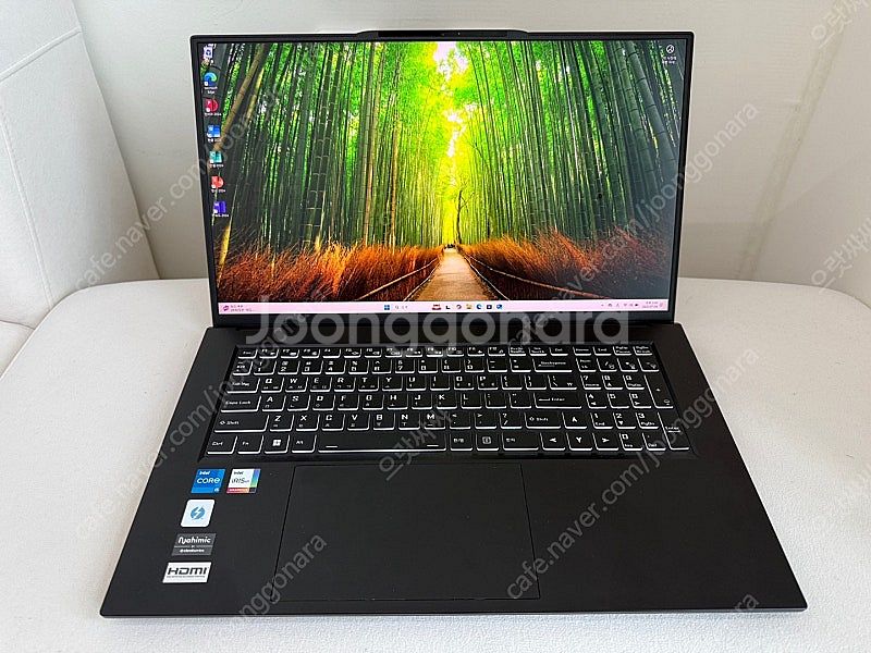 한성 TFX7240P i5-1240P 16GB 500G...--0