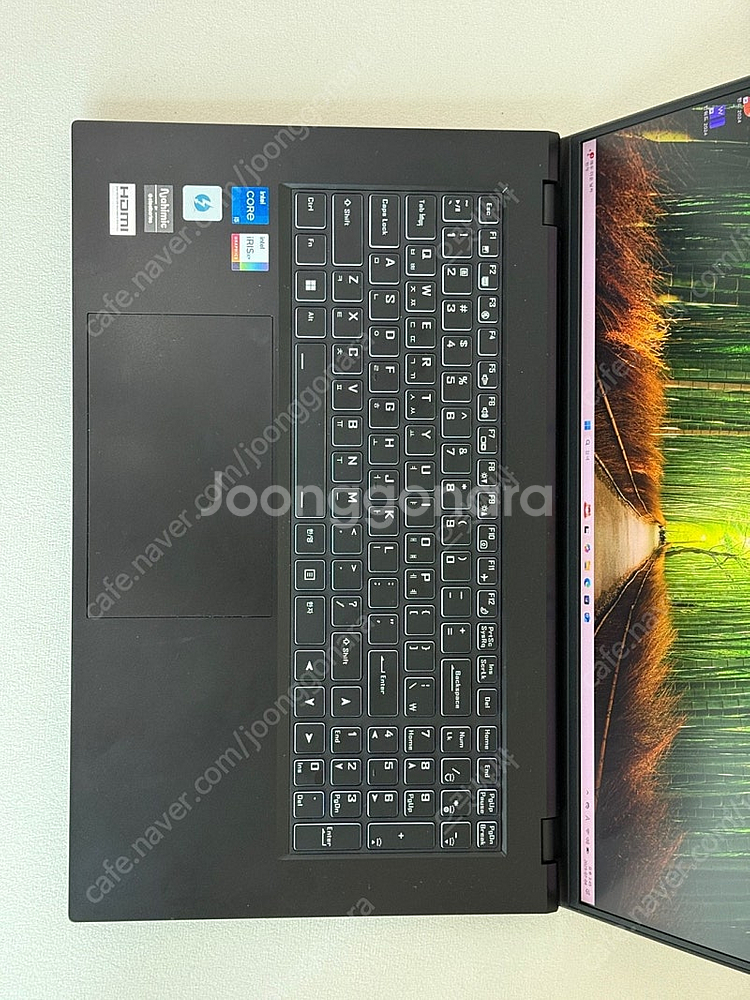 한성 TFX7240P i5-1240P 16GB 500G...--3