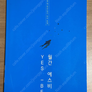 2025 강남대성 사문 강대k 실모 모음 16회분