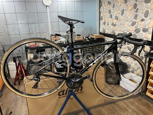 도마니 al2 거의신상 급처해요--0