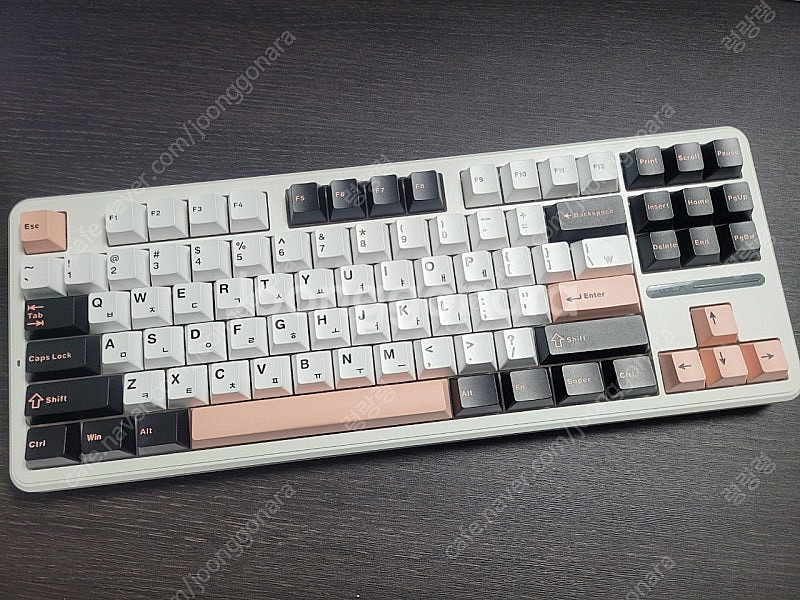 정발 독거미 f87pro 유무선 저소음 피치축v2 올리비아 화이트 (택포)--4