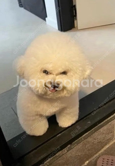 넥슨 캐시 충전식 구매해요--0
