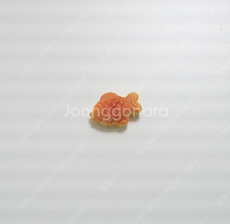 지비츠 세트 빵 컨셉 6P--3