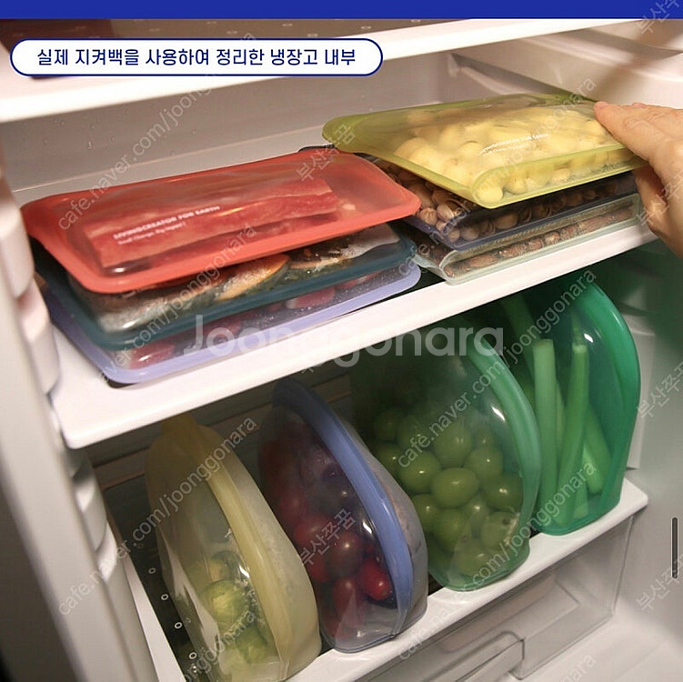 리빙크리에이터 지켜백 5종세트 비비드컬러 판매합니다--8