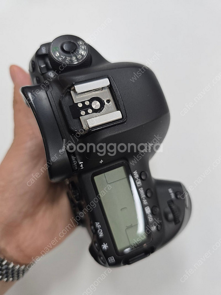 5d mark 4 오막포 88000컷--8