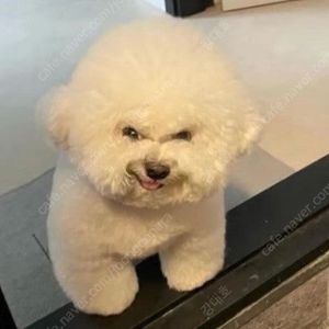 넥슨캐시 삽니다