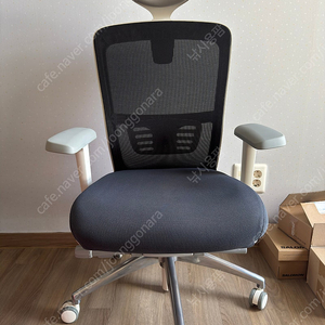 코아스 에르체 매쉬 의자